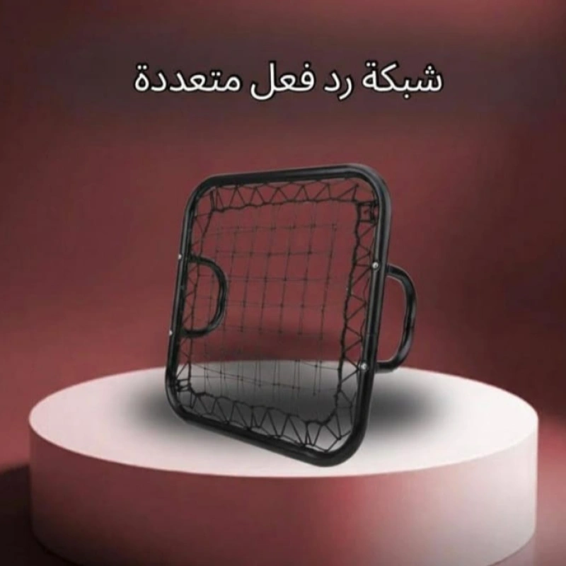 شبكه رد الفعل