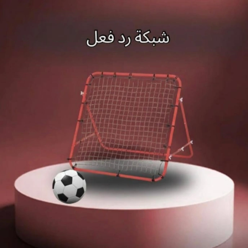 شبكه رد الفعل